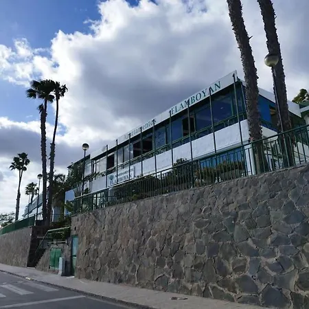 Flamboyan Vista Mar *